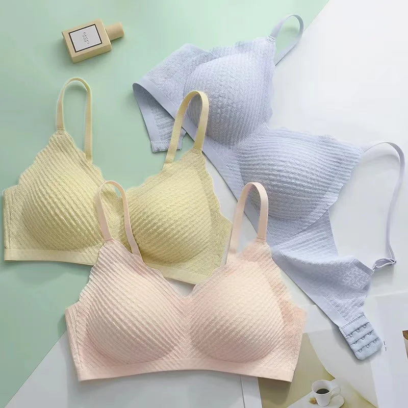 Dalia BH 1+1 Gratis