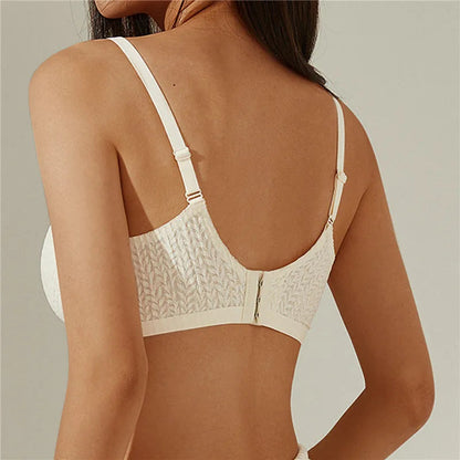 Dalia BH 1+1 Gratis