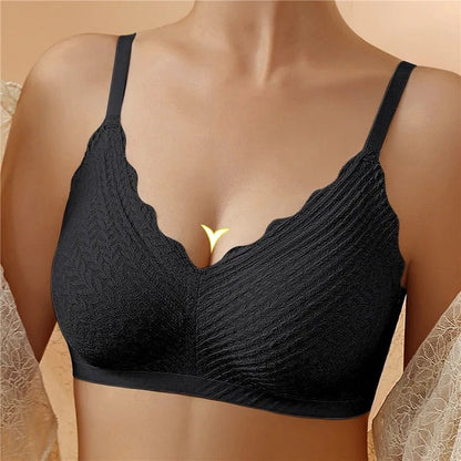 Dalia BH 1+1 Gratis