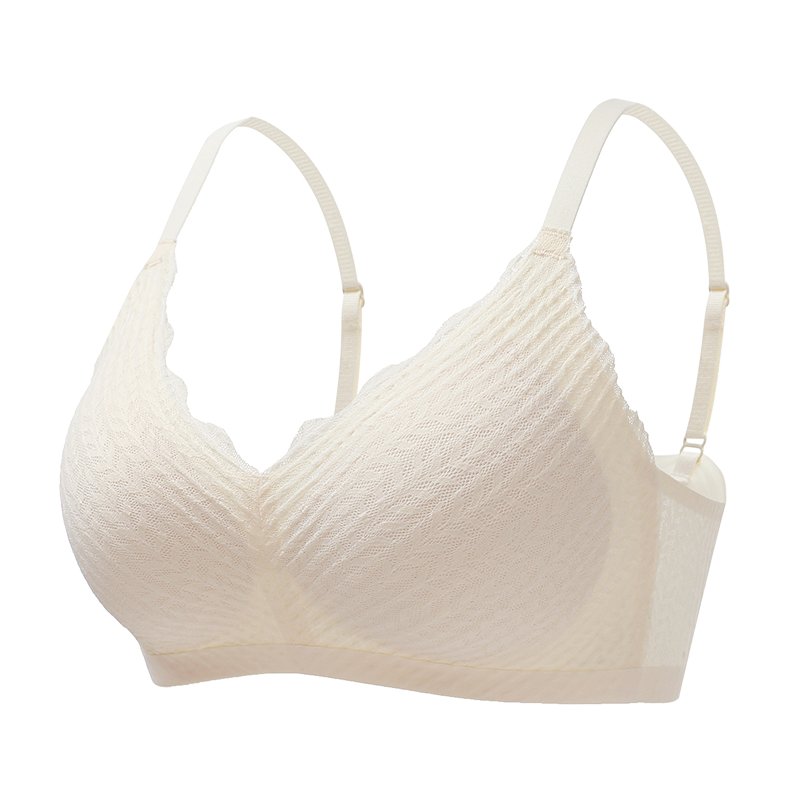 Dalia BH 1+1 Gratis